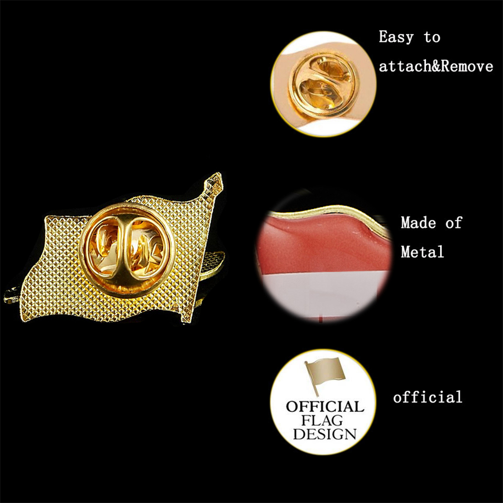 Broche d'insigne d'élection na - Brooch Pin Gold avis et prix