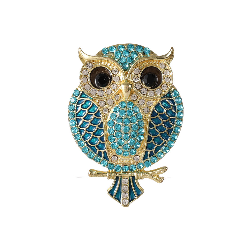 Broches hibou pour femmes, cat - Women'S Accessories Categories avis et prix